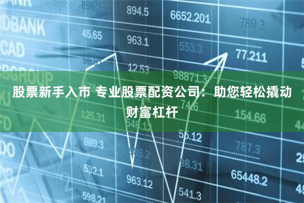 股票新手入市 專業(yè)股票配資公司:助您輕松撬動財富杠桿